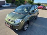 Fiat Panda Rock 4x4 *35000KM*KLIMA*1.HAND* - Fiat Panda mit Benzin-Antrieb: Kleinwagen, 1.4
