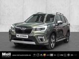 Subaru Forester Platinum AHK-abnehmbar Navi Leder Memor
