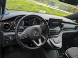 Mercedes-Benz V 220d lang |DISTRONIC | MBUX groß | Tisch | AHK - Mercedes-Benz V 220 in Köln