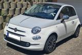 Fiat 500C 1.2 8V Collezione C Collezione - Fiat 500C: Collezione