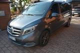 Mercedes-Benz V250 CDI AVANTGARDE LED.Distr.+Burmester Camping - : Van, Camping