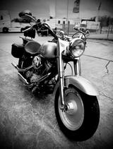 Harley-Davidson Softail FAT BOY  - HARLEY-DAVIDSON 2002 SOFTAIL