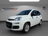 Fiat Panda 1.2 More mit Klima - Fiat Panda in Hamburg