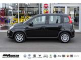 Fiat Panda Hybrid 1.0 GSE NEUES MODELL 2024 CITY TEMP - Fiat aus 2024