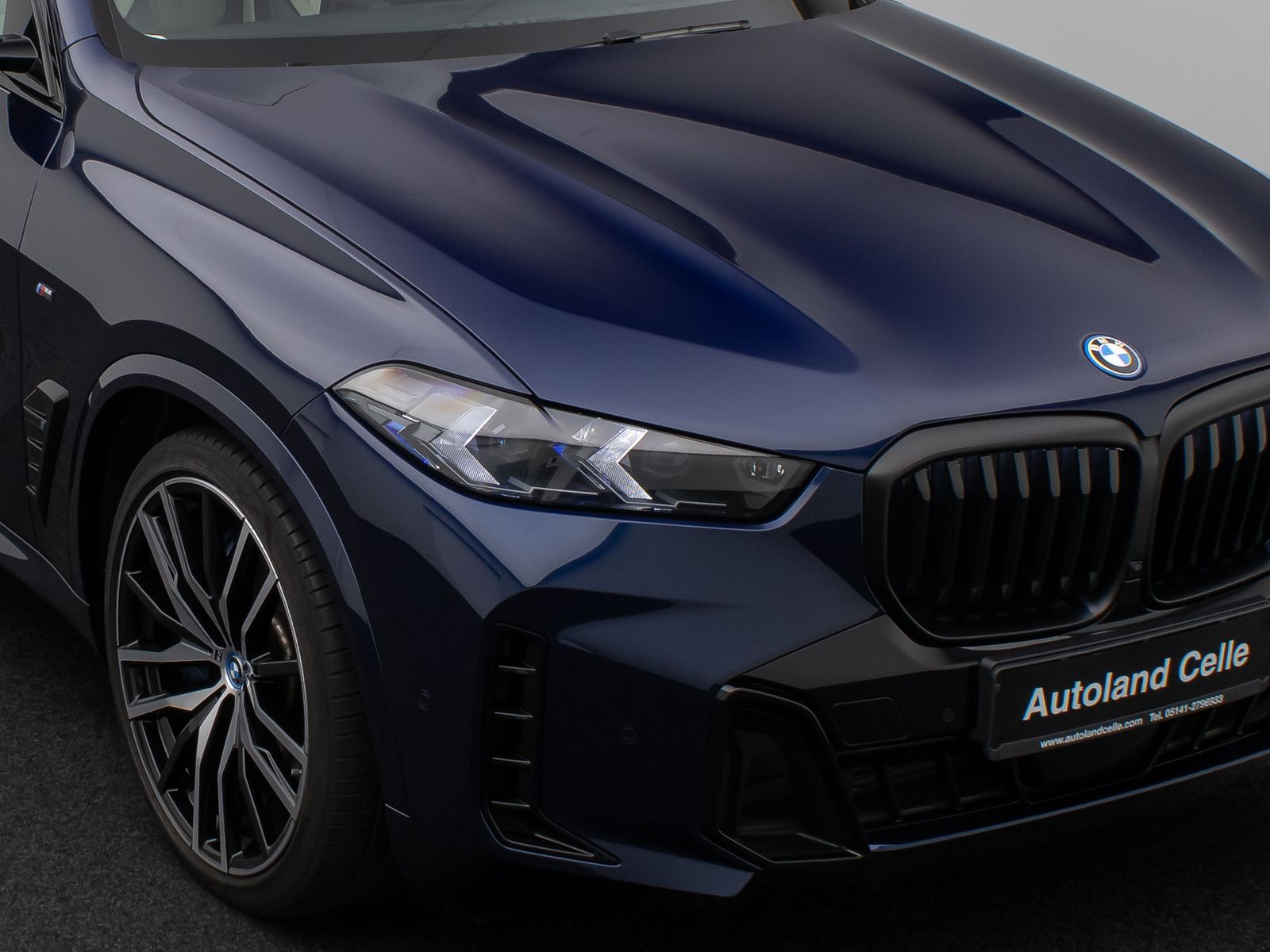 Fahrzeugabbildung BMW X5 xD50e M Sport 360°H/K Panorama Individual 22"