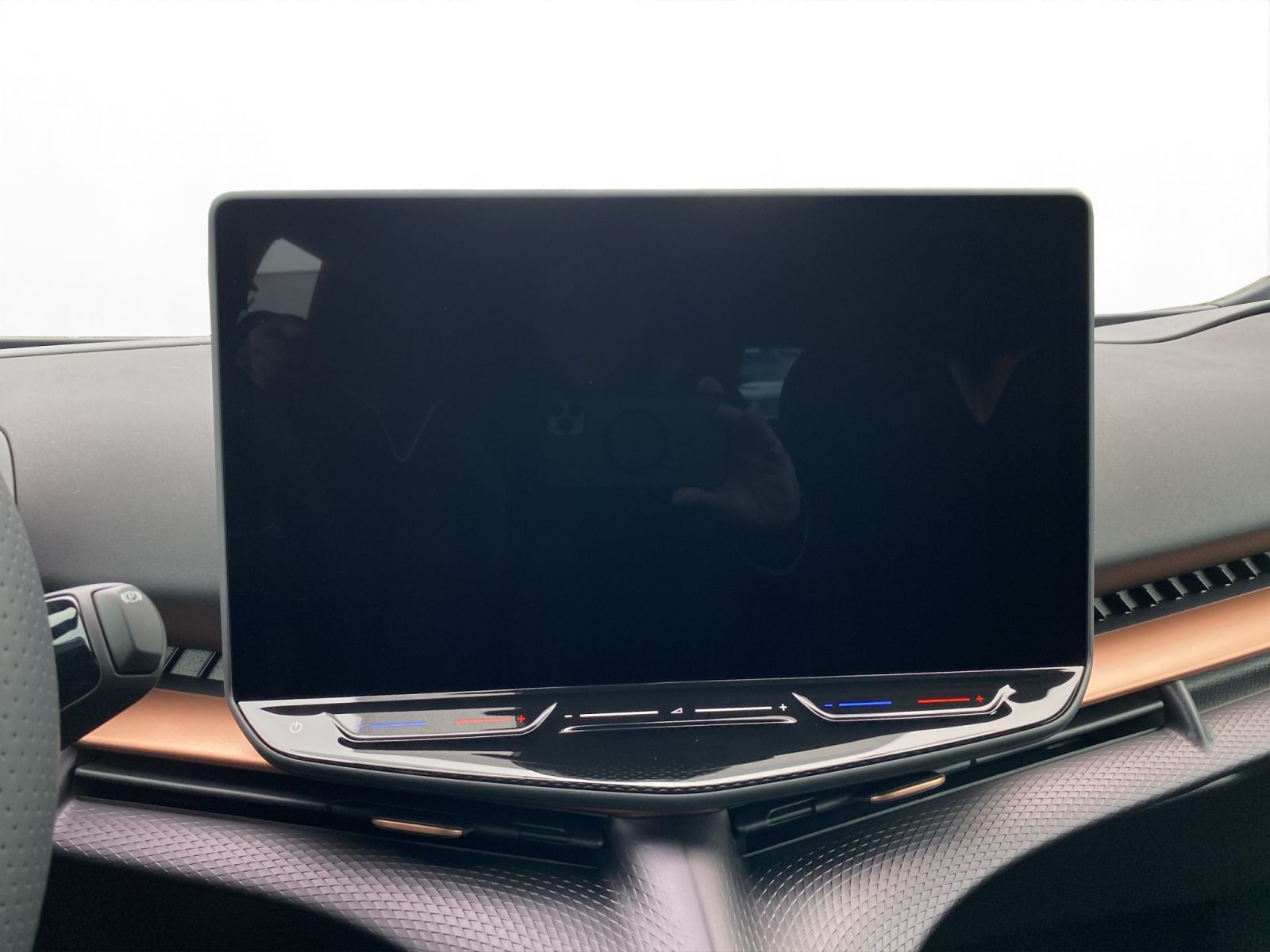 Cupra Tavascan - Bild 17