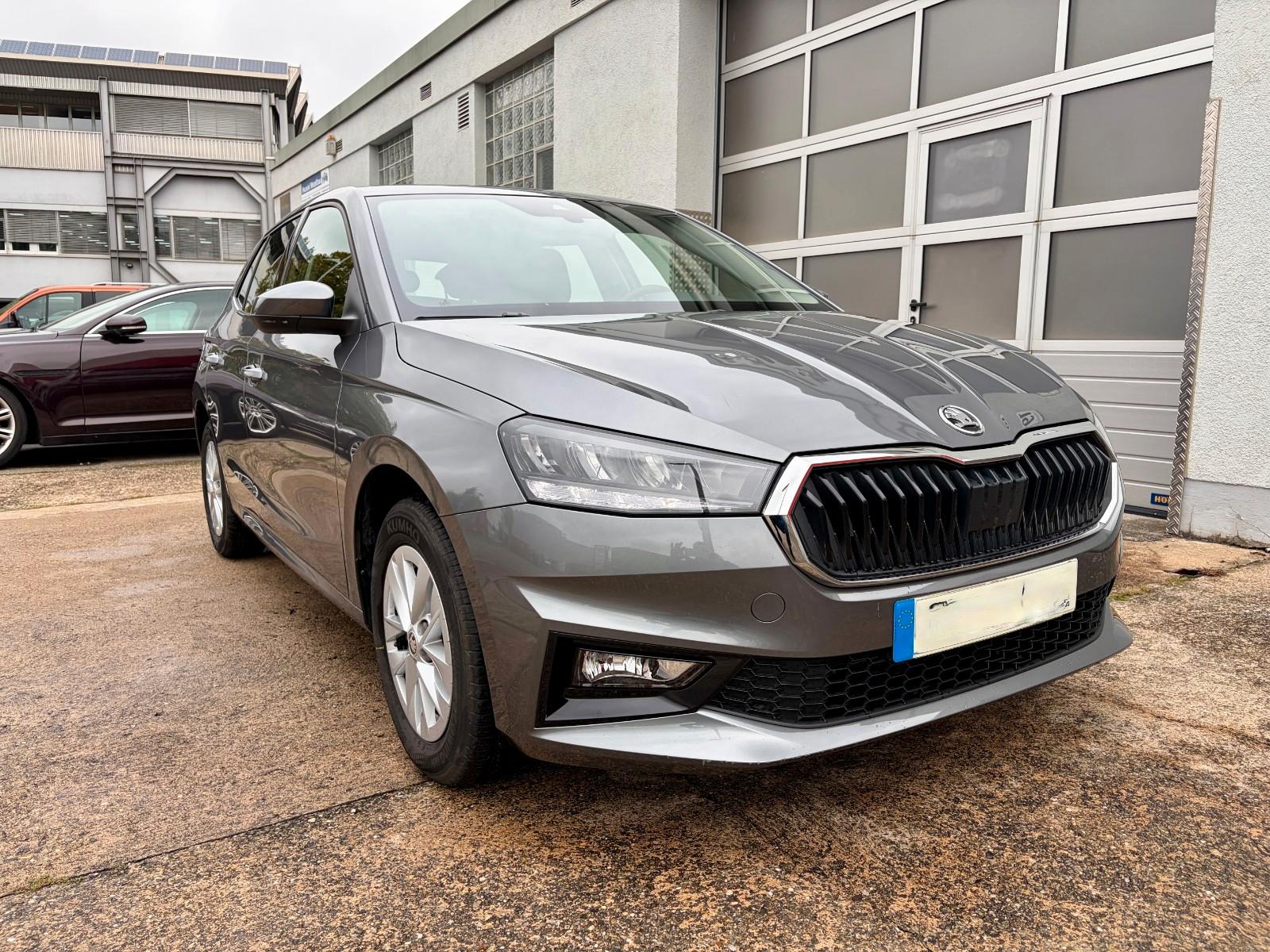 Skoda Fabia Selection