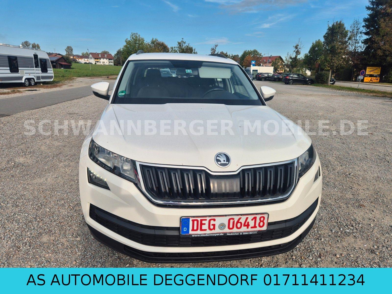Skoda Kodiaq Active 4x4-SHZ-PDC-AHK-