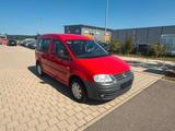 Volkswagen Caddy Life / 7 - Sitzer /  TÜV 04 -2028 / 1.Hand - : Kleinbus, Sitzer 20