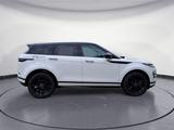 Land Rover Range Rover Evoque D165 Dynamic SE BLACKPACK - Land Rover Range Rover Evoque aus 2025