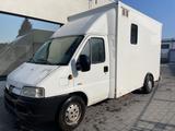 Peugeot Boxer Pferdetransporter Pferd 3,5 T HU Neu - Tier-/Pferdetransport 3 pferde