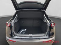 Mazda CX-30 - Vorschau Bild 13