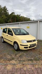 Fiat Panda / MyLive/KLIMA - Fiat Panda Gebrauchtwagen in Aachen