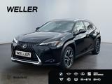 Lexus UX 250h Executive Line *Bi-LED*GSD*RCam*SHZ*ACC* - gebrauchte Lexus UX aus dem Jahr 2024