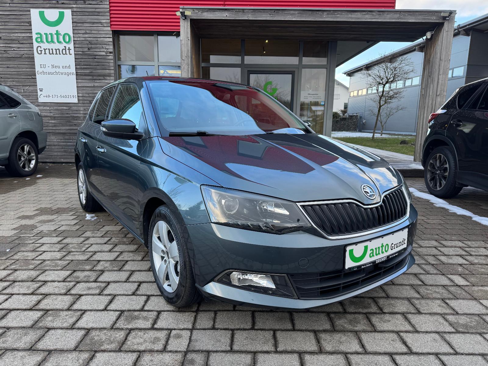 Skoda Fabia Style TDI Automatik