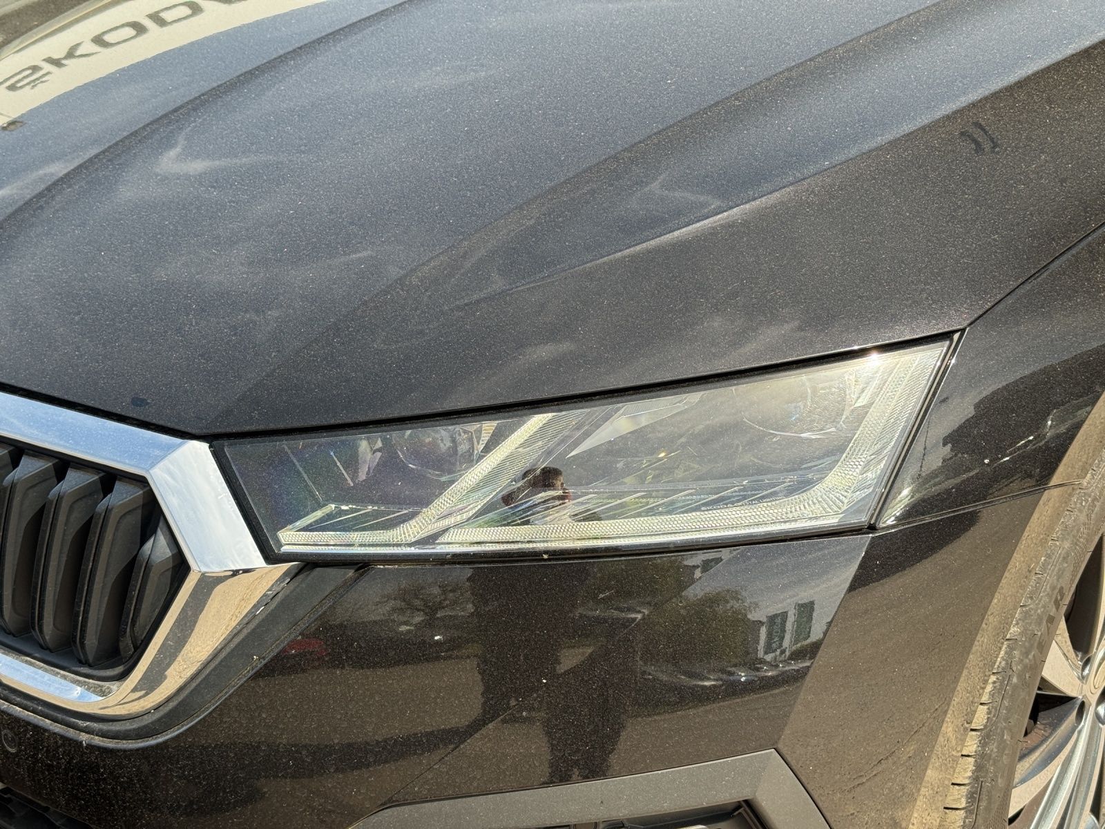 Skoda Octavia - Bild 18