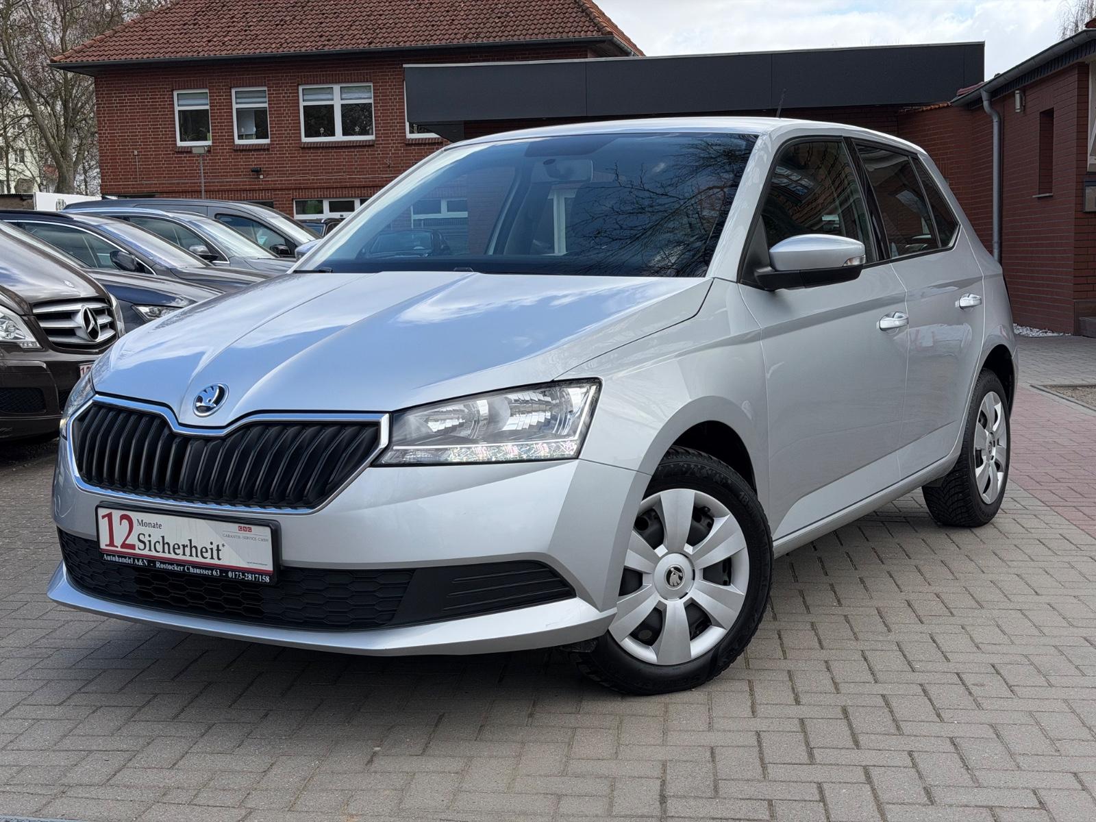 Skoda Fabia Active *TÜV NEU*