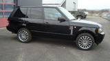 Land Rover Range Rover 5.0 V8 SC Westminster, sehr gepflegt - Land Rover Range Rover: Se