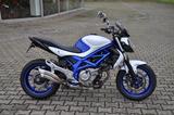 Suzuki SFV 650 Gladius - Angebote