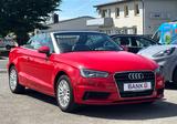 Audi A3 2.0 TDI Ambiente*LED*LEDER*PDC*ACC*SHZ*SPURHA - Audi A3: Rot, Leder