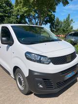 Fiat Scudo - Fiat Scudo in Hannover