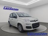 Fiat Panda Mild Hybrid 1.0 DAB Spurhalteass. Verkehrs - Fiat Panda aus 2025