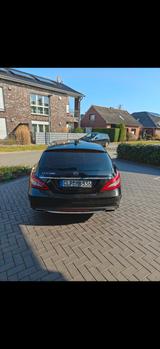 Mercedes-Benz CLS 500 Shooting Brake - Mercedes-Benz CLS 500 Shooting Brake mit Benzin-Antrieb: Kombi, Automatik