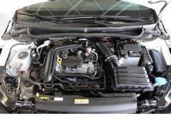 Fahrzeugabbildung Volkswagen Polo Life,4x Einparkhilfe,Leichtmetallräder,Navi