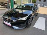 Cupra Leon Basis*Navi*SHZ*Kamera* - Cupra Leon in Essen
