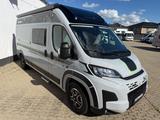 Chausson V594 Sport Line ~ Modell `26