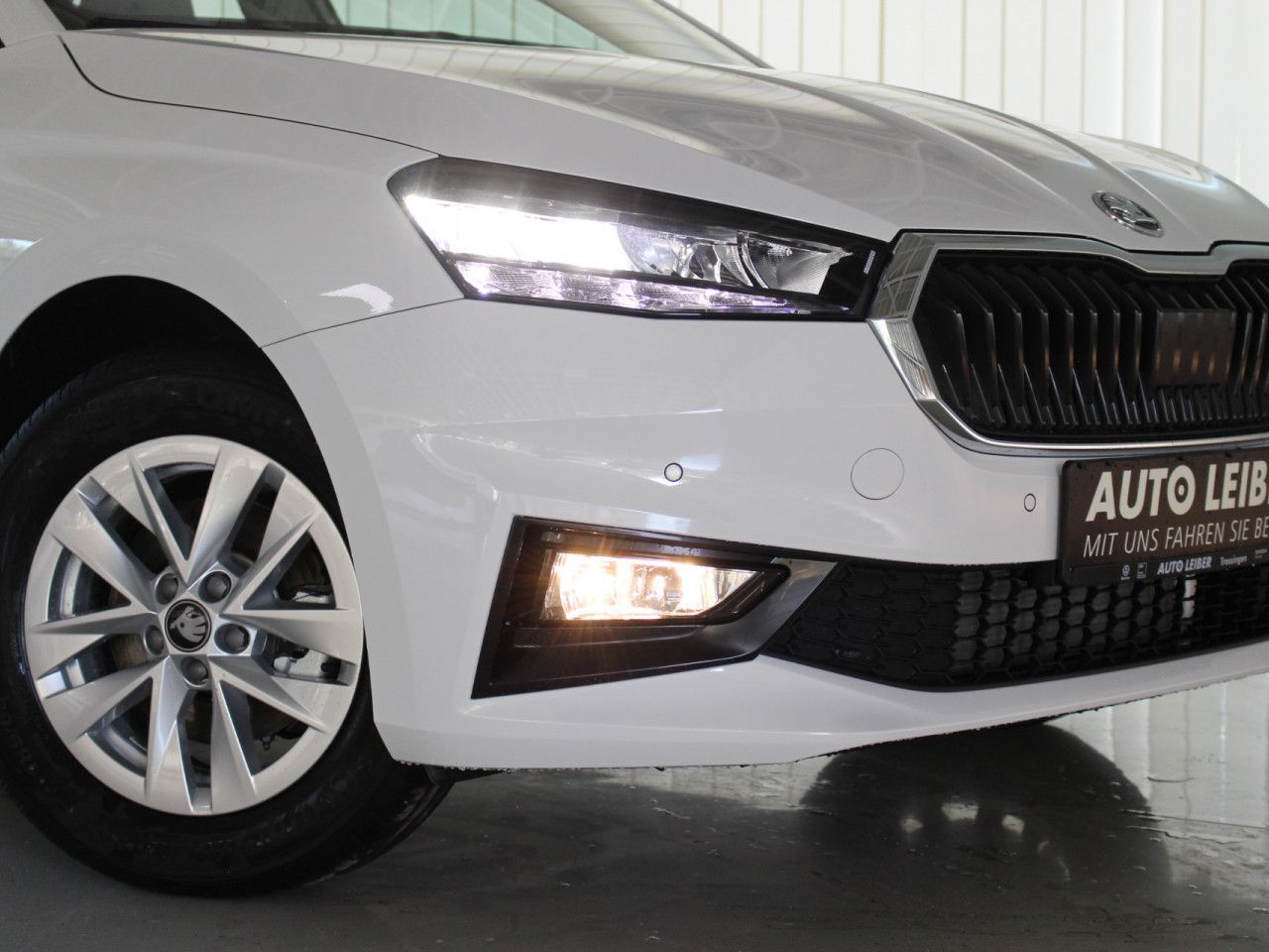 Fahrzeugabbildung SKODA Fabia 1.0 TSI DSG Selection RFK/APP/SHZ