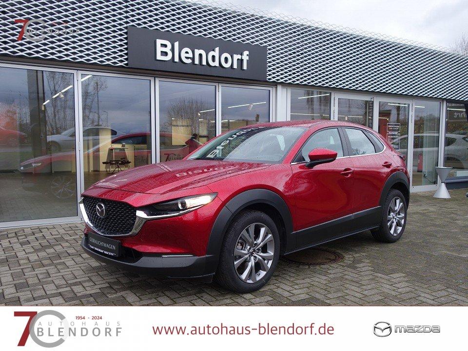 Mazda CX-30 Selection 150 360°Kamera|Navigation|Bose-S