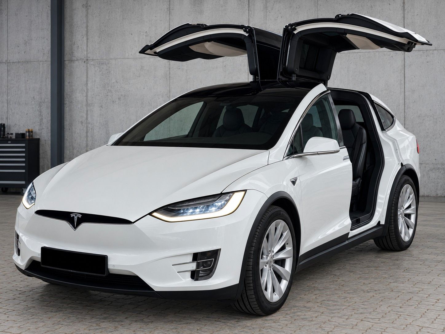 Tesla Model X Dual Allrad Falcon Wing