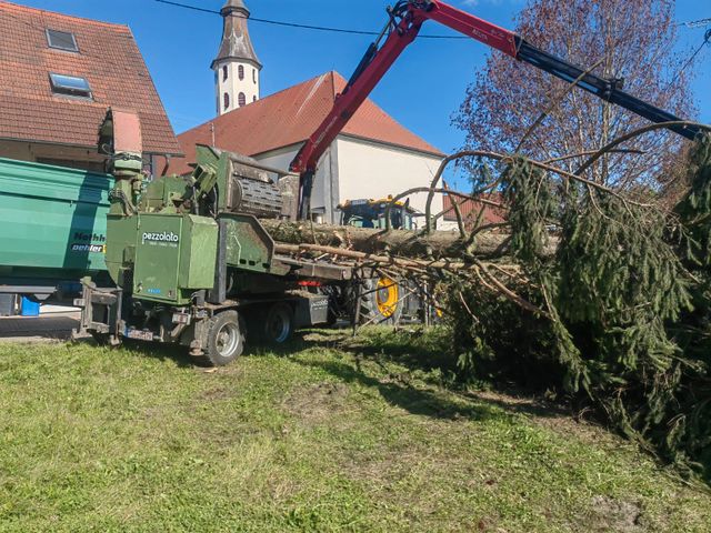 Andere Holzhäcksler/Holzhacker Pezzolato PTH 1200/1000