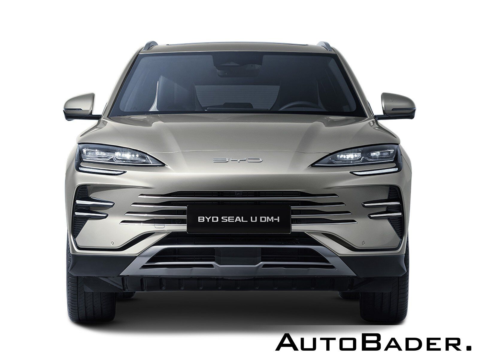 BYD Seal U DM-i DESIGN AWD LED PSD HUD ACC 360 Szkli imagem 3
