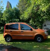 Fiat Panda,limitiert Orange, 2008 , Erdgas... - Fiat Panda mit CNG-Antrieb