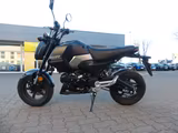 Honda MSX 125 Grom  incl. Anlieferung Tageszulassung - Honda MSX125 Grom