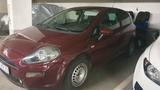 Fiat Punto 1.2 8V LOUNGE LOUNGE - Fiat Punto: Rot