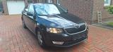 Skoda Octavia 1.6 TDI Green tec Ambition Ambition - Skoda Octavia mit Diesel-Antrieb: Limousine, 1.6