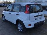 Fiat Panda MY24 1.0 Klima PDC Citypaket - Fiat Panda Vorführfahrzeuge