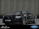 Ford Mustang Convertible GT 5.0 V8 Automatik #MagneRi - Ford Mustang von 2026