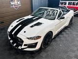 Ford Mustang Cabrio GT500 Shelby look, 2.3 RECARO - Ford Mustang: Cabrio, Shelby