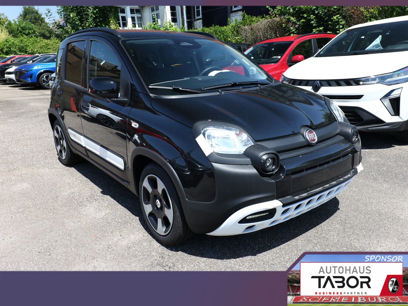 Fiat Panda - Bild 2