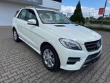 Mercedes-Benz ML ML 350 CDI BlueTec, AMG Paket,Erste Hand - Mercedes-Benz ML 350 in Duisburg