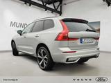 Volvo XC60 Ultimate Dark T8 PHEV AWD - Volvo: Euro5