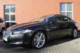 Jaguar XF S 3.0 V6 Diesel Leder Bi-Xenon E.Dach - Jaguar mit Diesel-Antrieb: 3.0