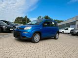 Fiat Panda Pandina 1.0 Icon *Radio Klima PDC 5Sitzer* - Fiat Panda Neuwagen mit Benzin-Antrieb