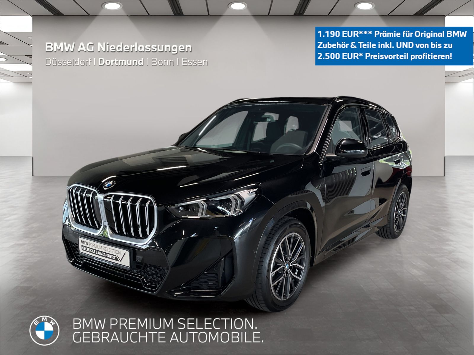 BMW X1 sDrive18i M Sport Kamera Pano.Dach LED Alarm
