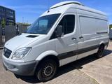 Mercedes-Benz Sprinter 416 AUT. Kühlkastenwagen , Kamera, AHK - Offers matching your search criteria