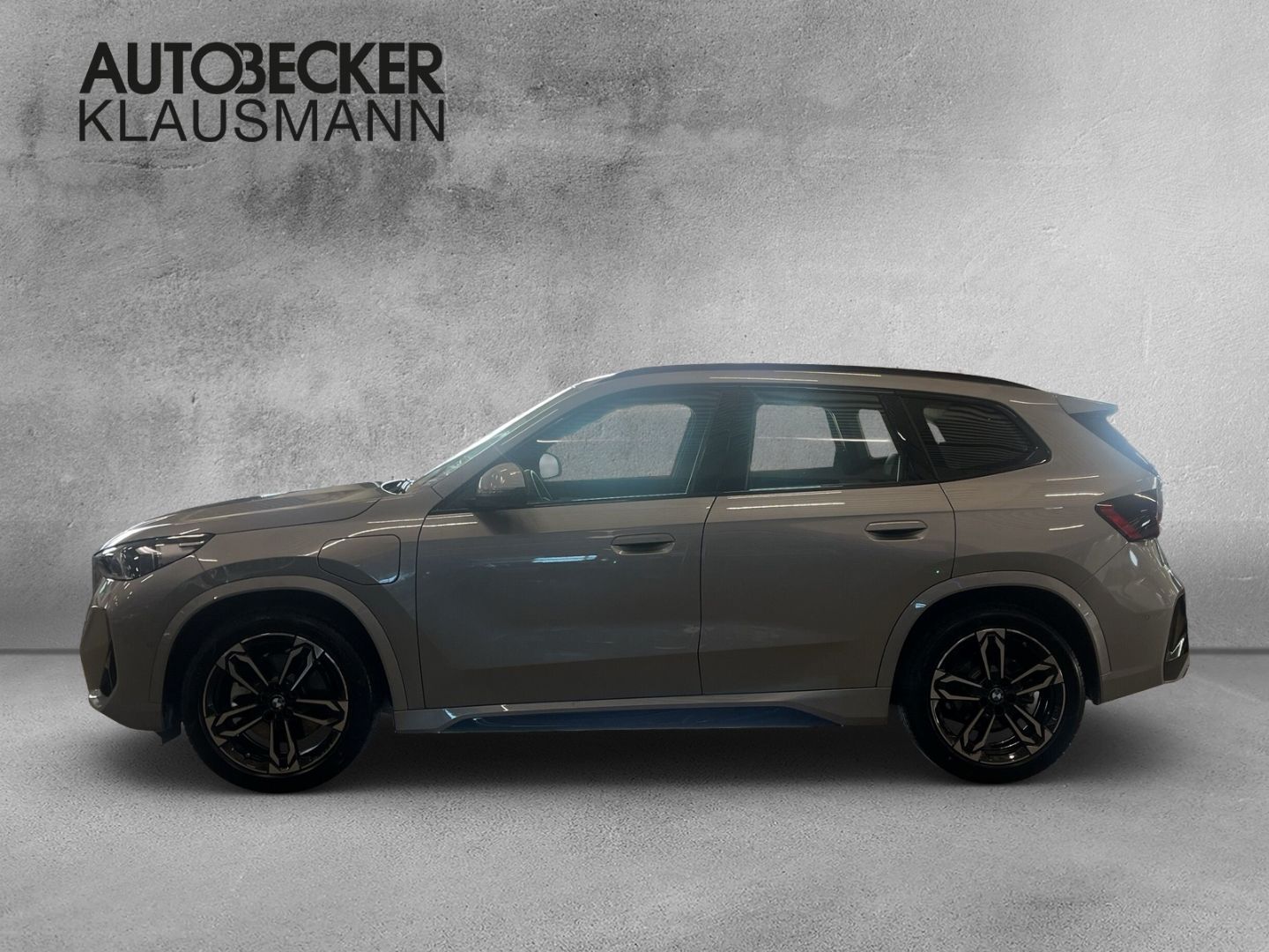 BMW X1 xDrive 30e M SPORT 19''LC PROF HuD ACC 360°PA foto 3